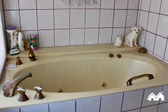 Upstairs Shower/Bath Before